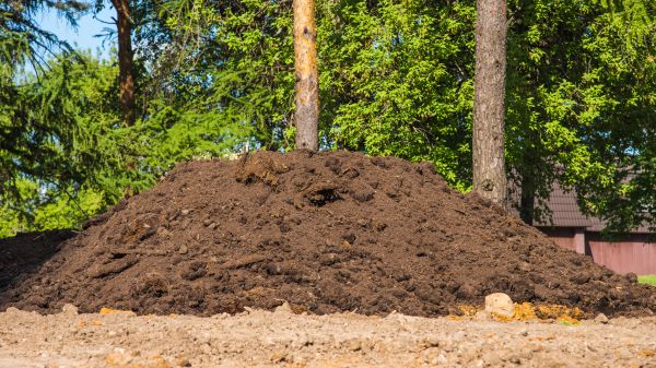 Dirt Installation in Boston