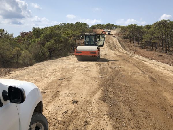 Cost of Driveway Grading in Boston