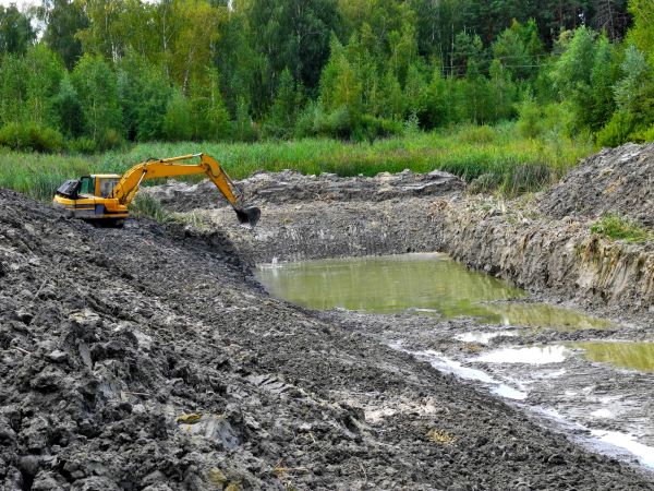 Cost of Fish Pond Digging in Boston