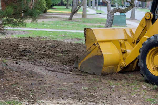 Backfilling Service in Boston