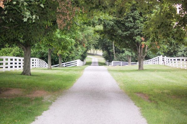 Gravel Driveway Construction in Boston