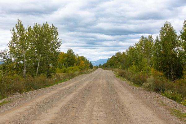 Dirt Road Repair in Boston
