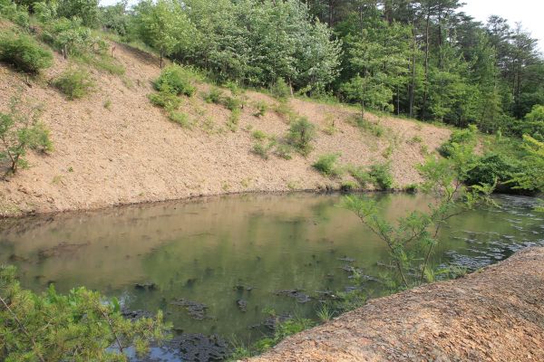 Cost of Pond Erosion Repair in Boston