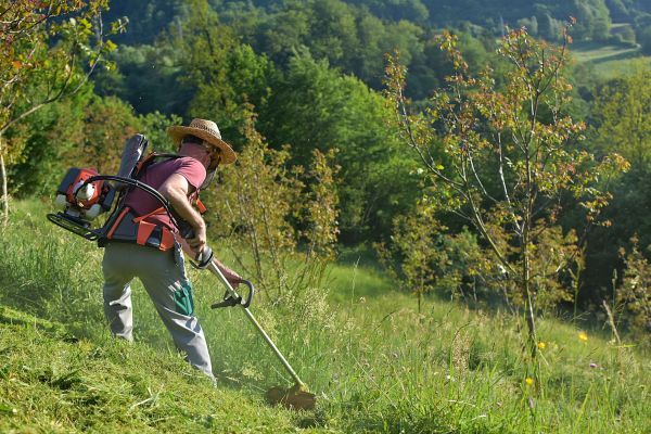 Cost of Slope Trimming in Boston